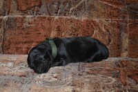 /album/fotogalerie/a130622-zelena-014a-jpg/